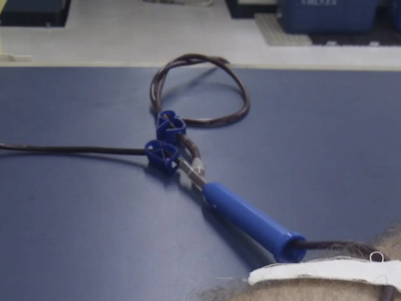 Debate over Organ Donation: Which System - Opt-In or Opt-Out - Is More Effective?