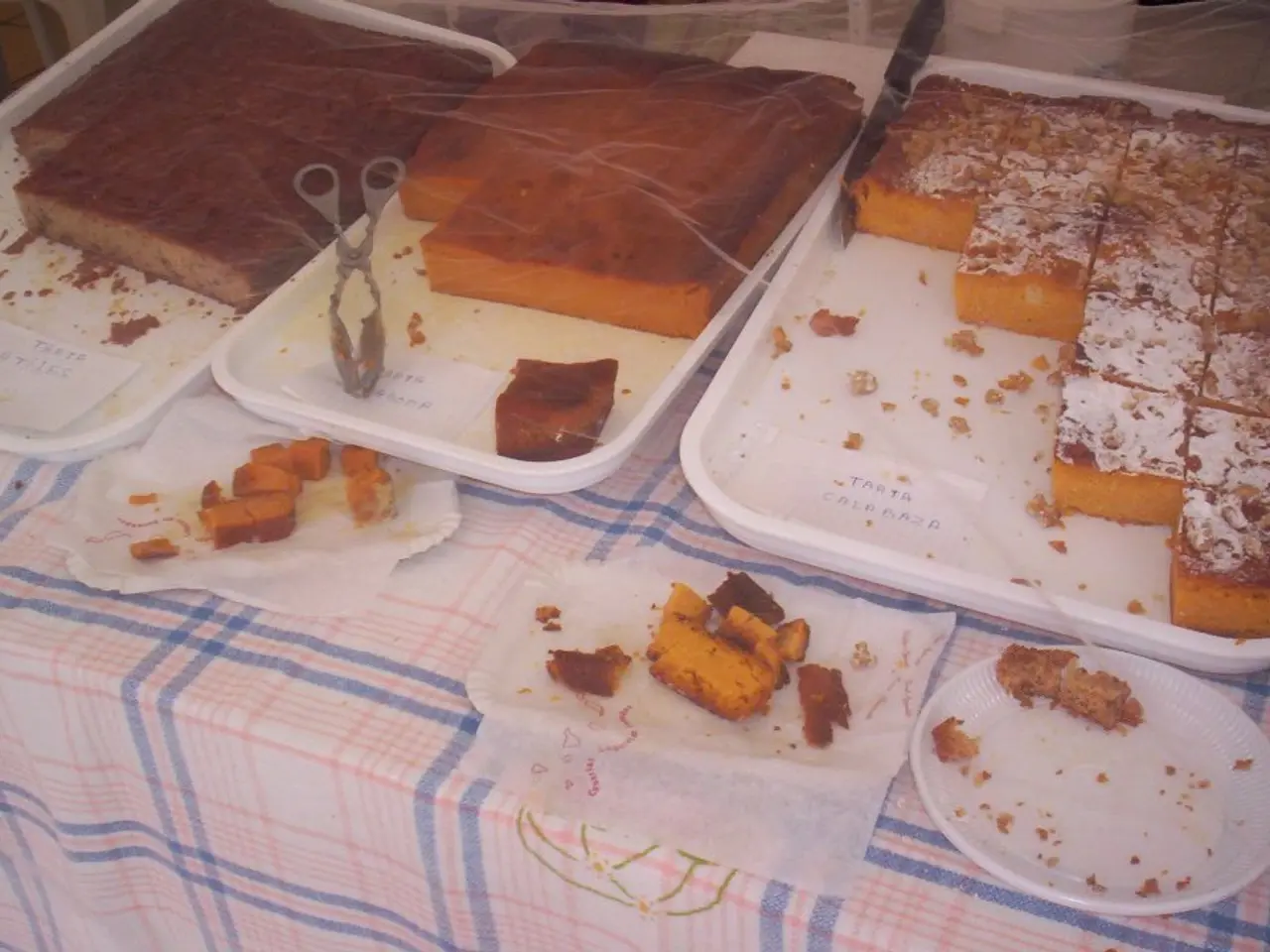 Blood Test Variation: Purpose, Process, and Outcomes