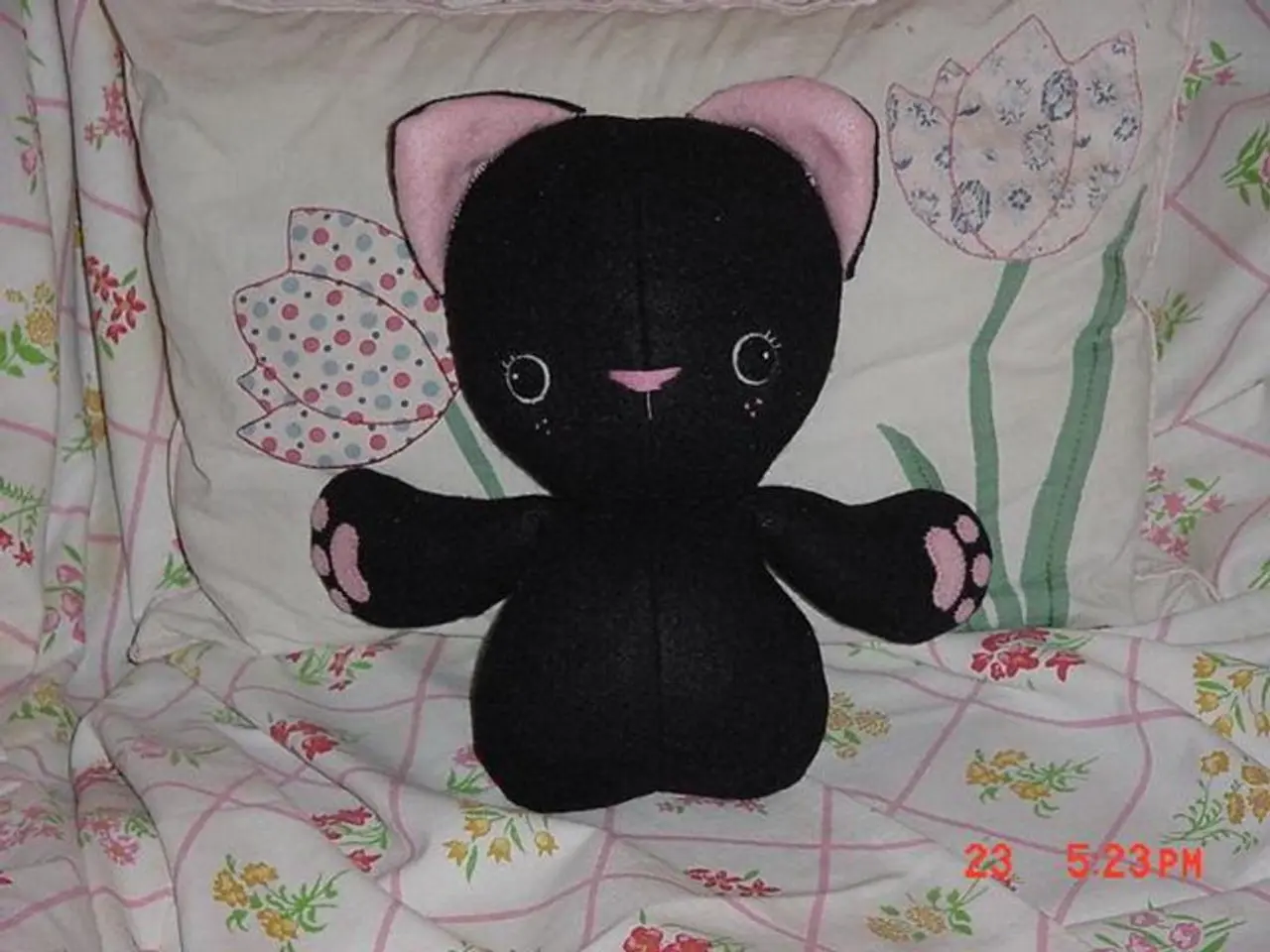 Reproductive structures and components of the female body, along with their respective roles