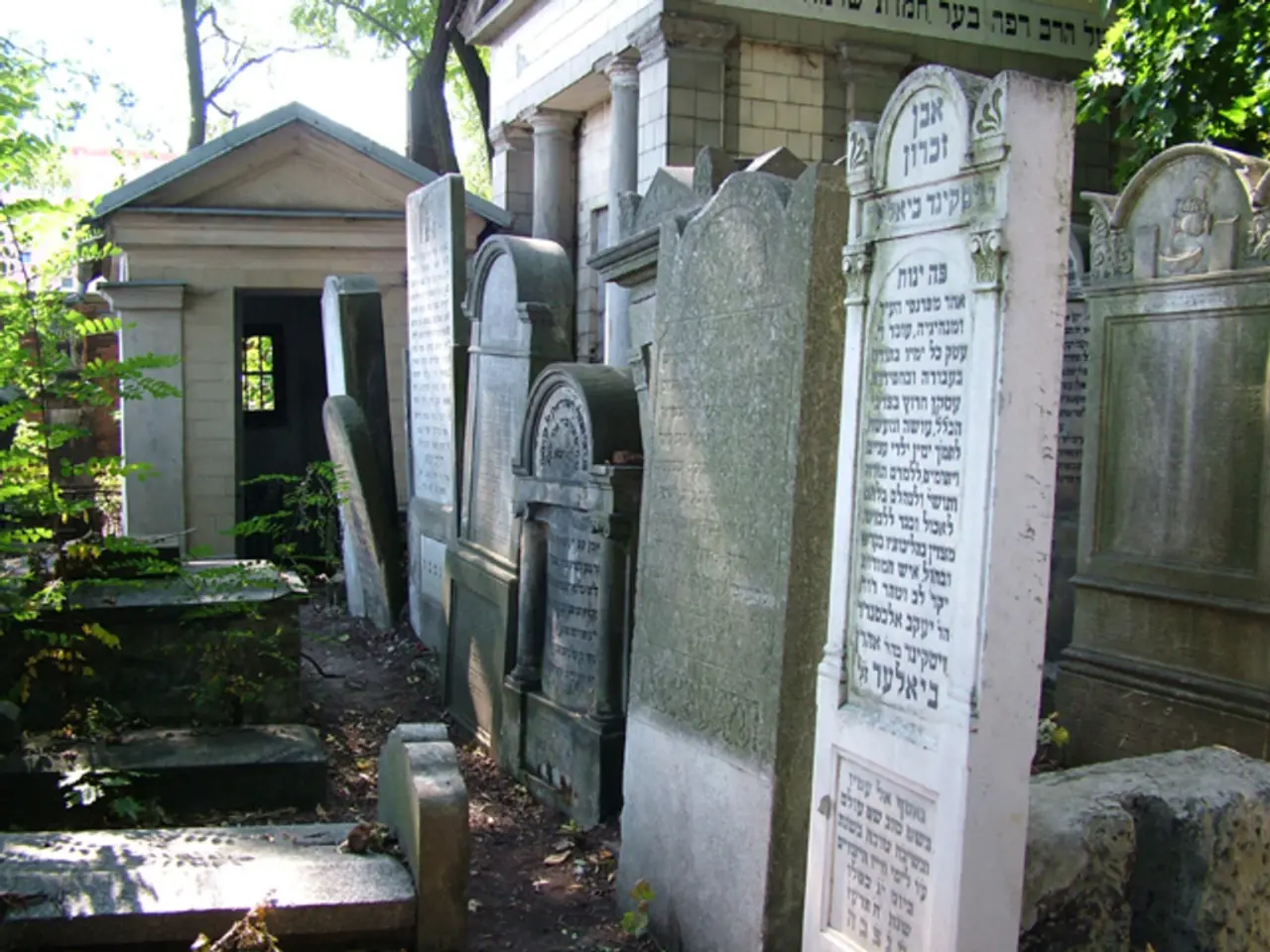 Neuropharmacology's Impact on Managing Neurodegenerative Disorders