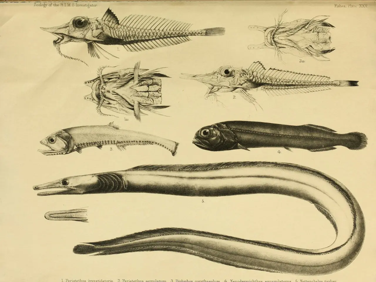 Predatory snakes, specifically pythons, revealed to have remarkable digestive processes enabling...