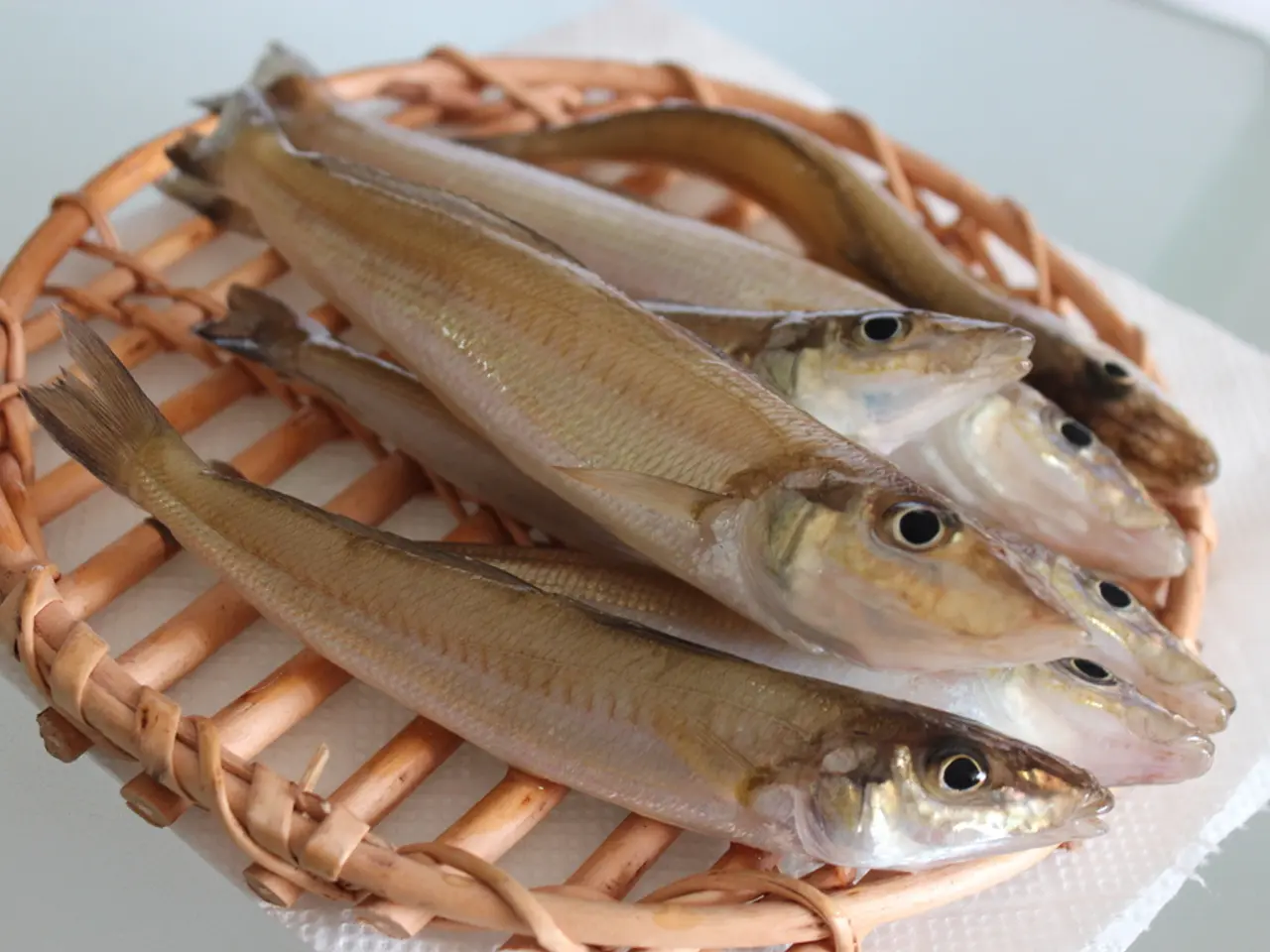 A closer look at spa treatments involving fish, examining their safety, advantages, and ethical...