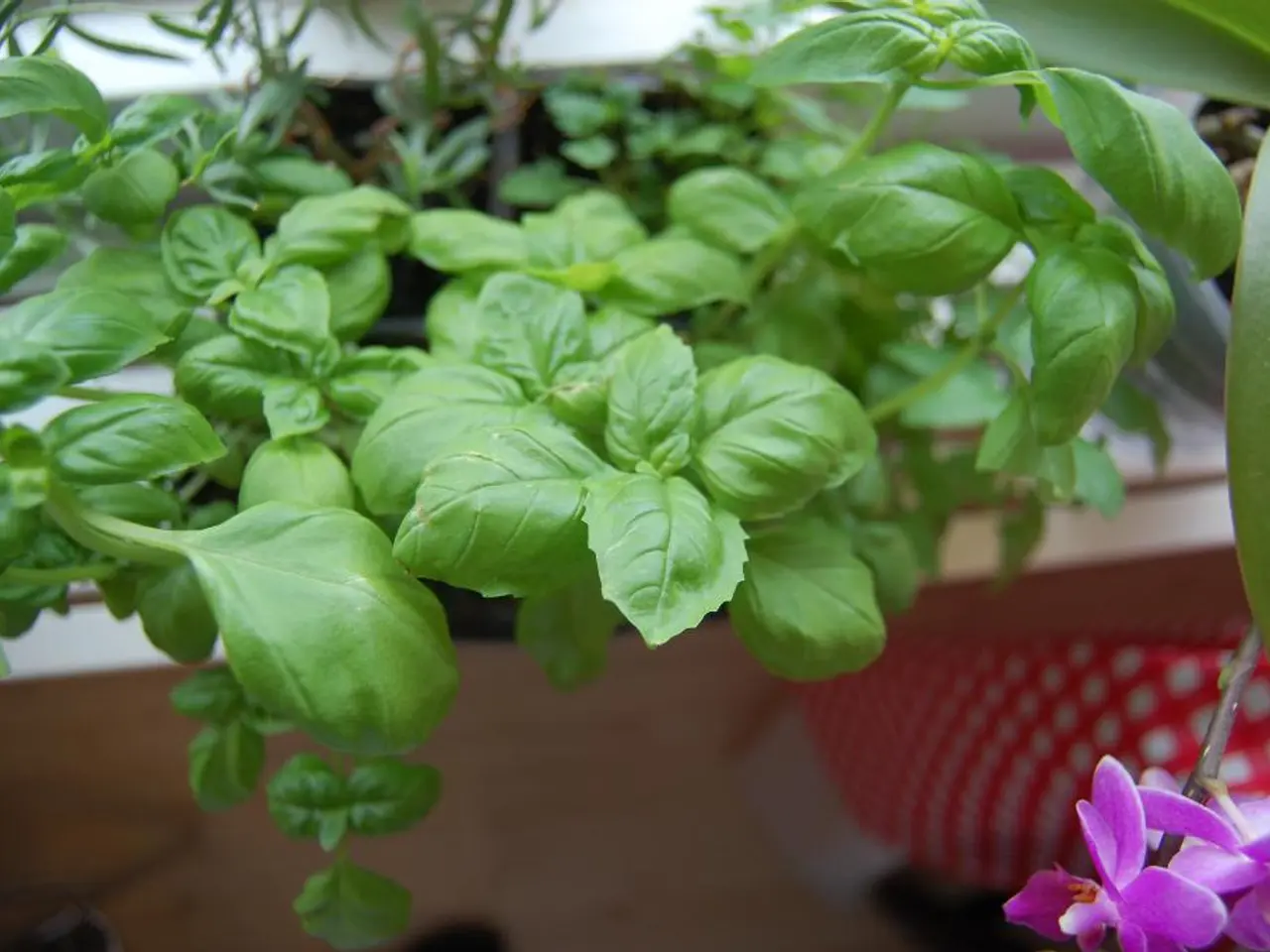 European lawmakers to be consulted on proposed legislation regarding the European Parliament's part...