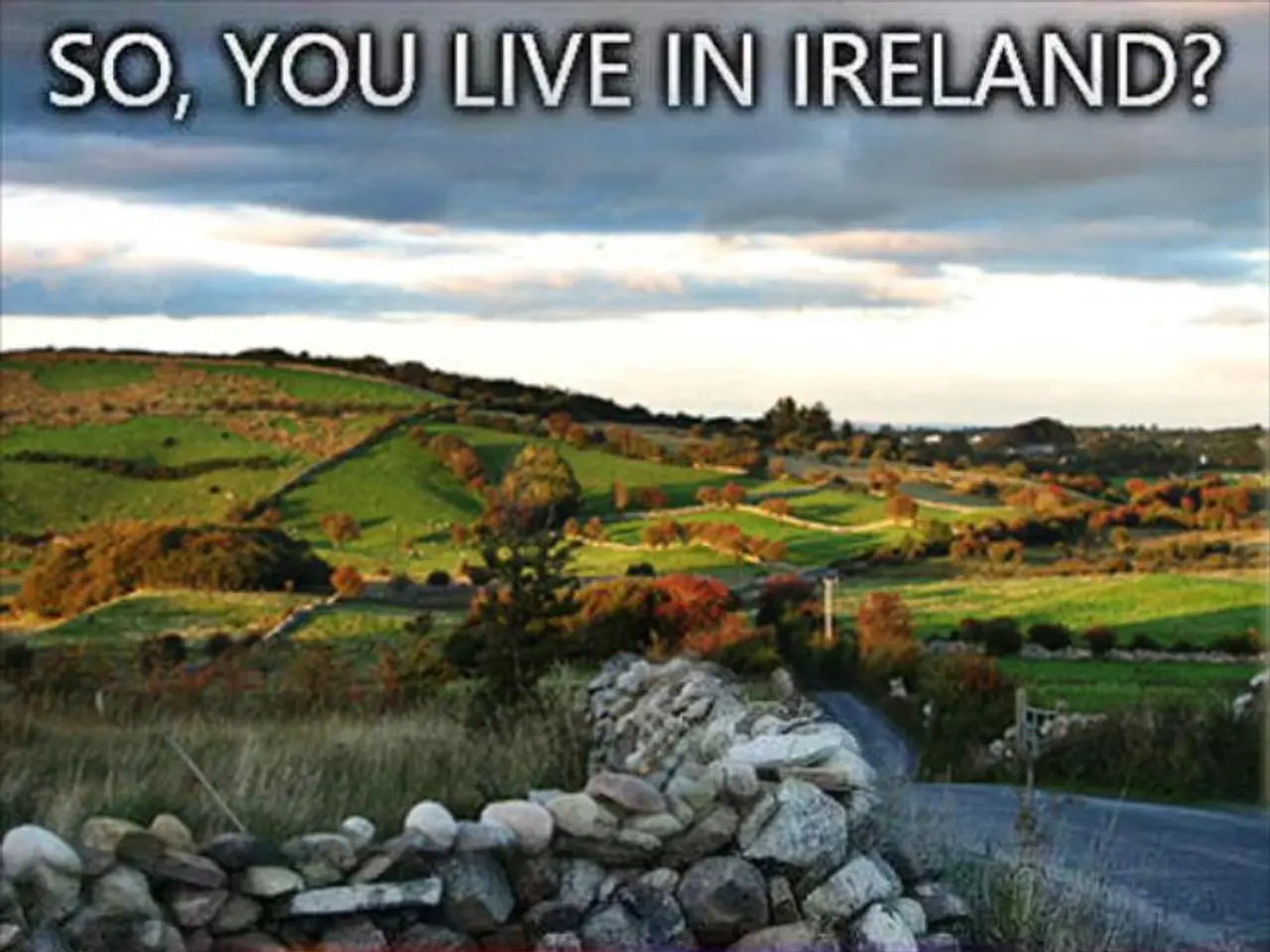 Car Distributed in Hannover Warns Against Leaving Children and Pets in Sizzling Hot Vehicles