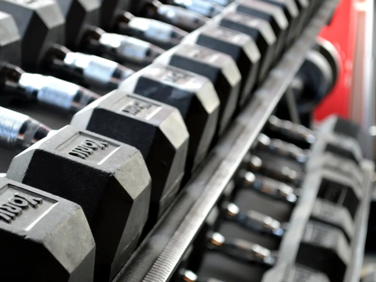 A single workout with just five exercises and two dumbbells can provide full-body strength and...