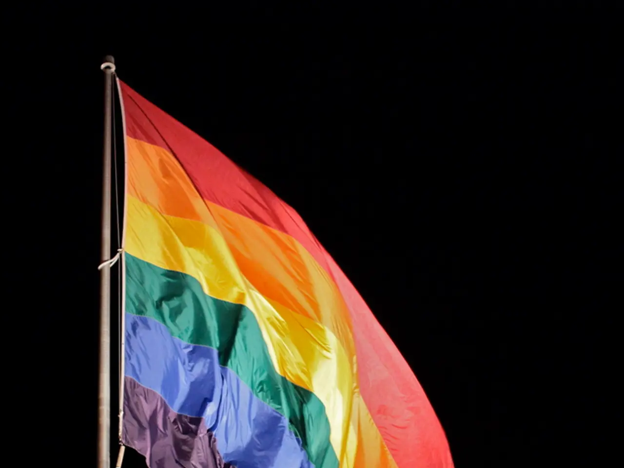 Dragon Flag Exercise: Guide, Advantages, Precautions, and Substitutes