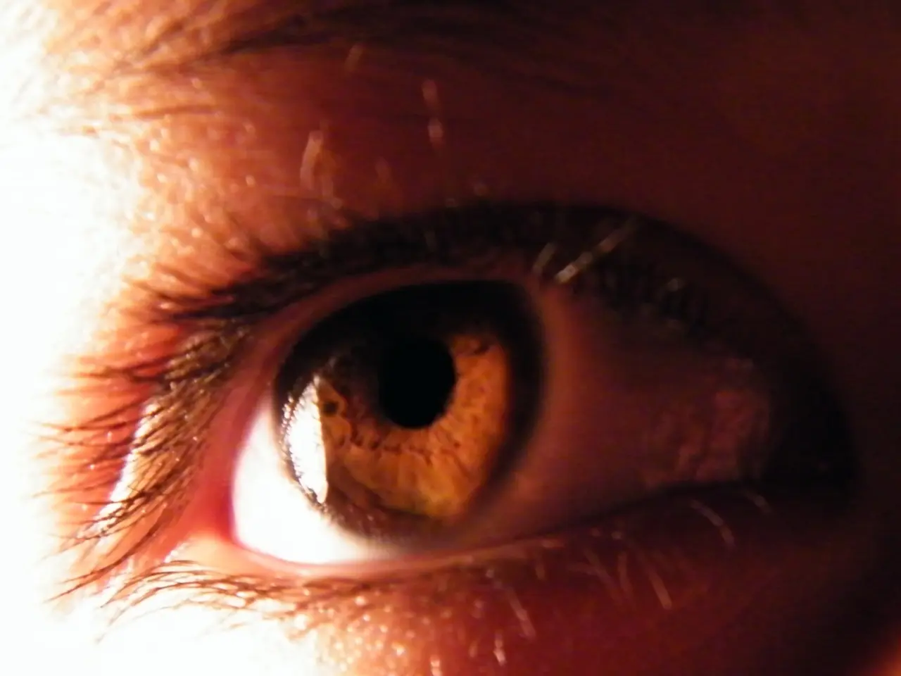 In this image I see the human eye and I see the skin and the eyebrows over here.