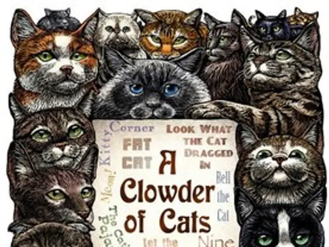 Infant mysteriously found ablaze