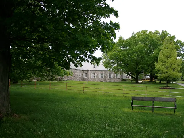 Exploring the Earth Connection: Potential Health Advantages of Earth Grounding