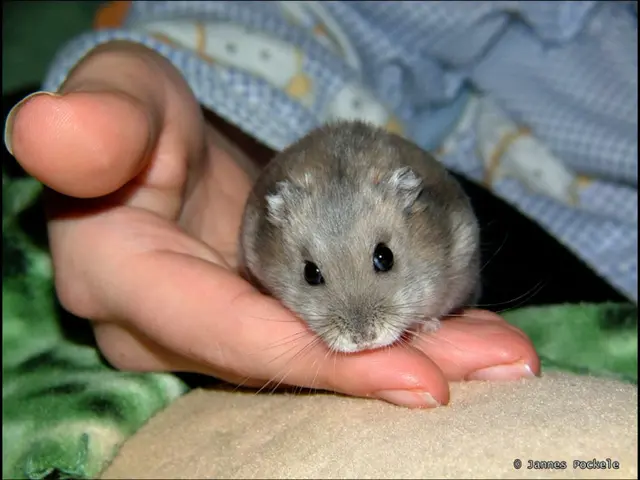 Fastening intermittent fasting intervals might rekindle your sexual appetite.