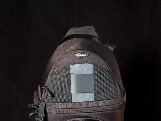 Butchers shut down in France following a string of children's illnesses