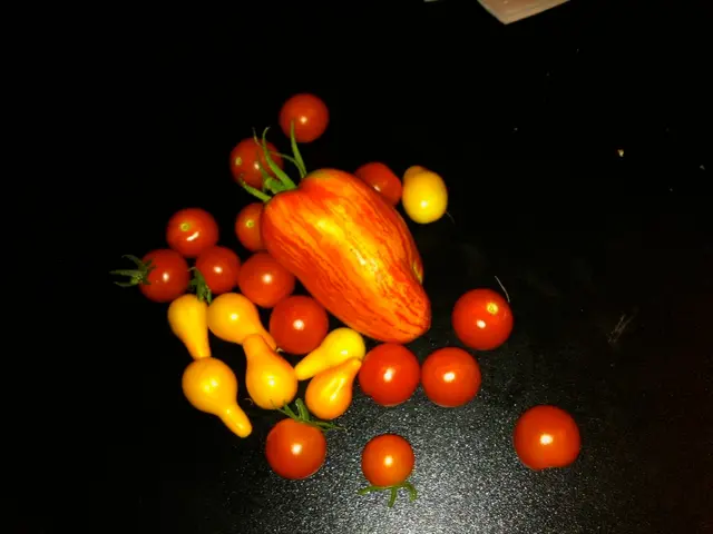 Top Speed and Stamina-Enhancing Fruits for Runners: Optimize Your Performance with These 7 Picks