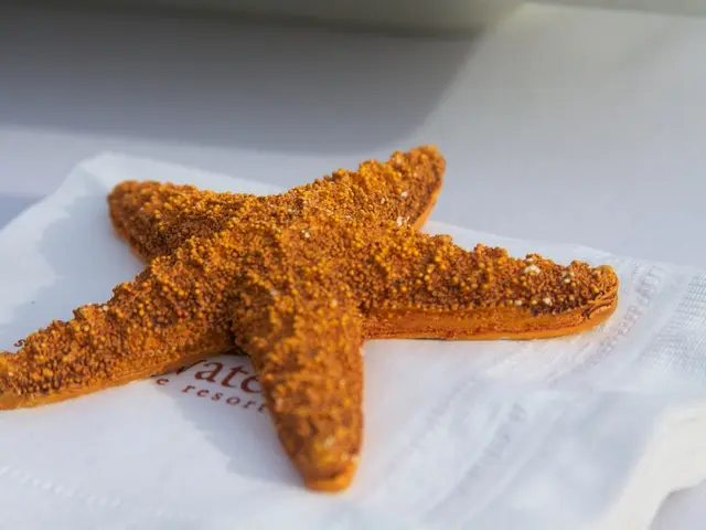 It's high time for a shift in our approach towards body fat.