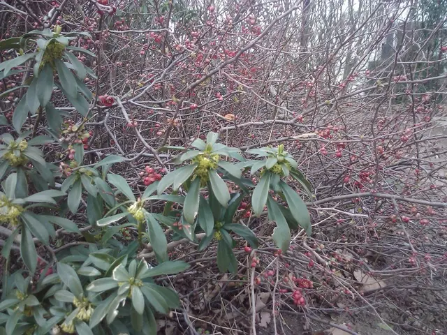 Right-Sided Headache: Understanding Origin, Significance, and Fast Relief Strategies