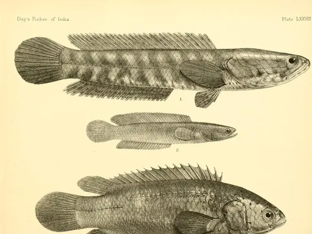 Unraveling the Ancient Formula Behind Roman Fish Sauce via DNA Analysis