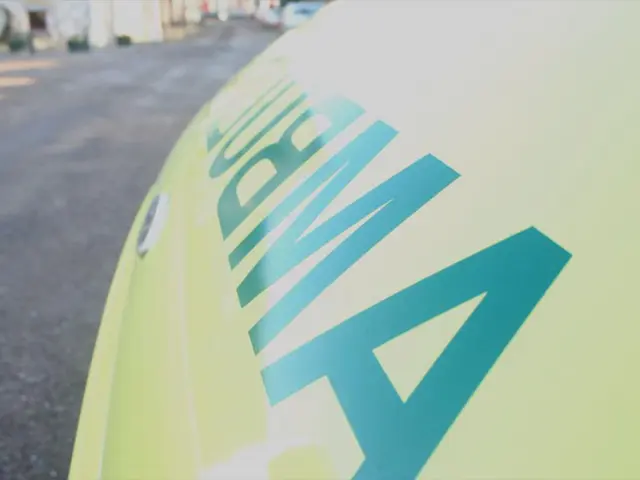 Amlodipine Besylate: Details on Adverse Effects, Proper Dosage, Applications, and Additional...