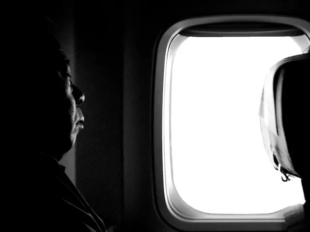 "Airline employee's remark about woman's son provokes dismay": A Kazakh woman expresses...