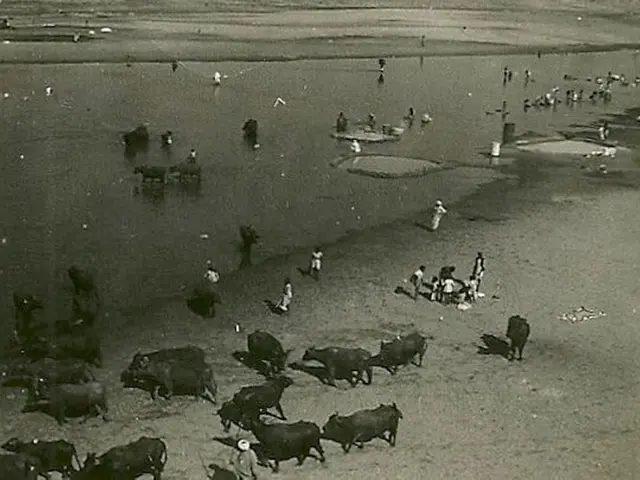 International Zoonotic Diseases Day 2025: Striving for a Healthier Globe by Embracing the Concept...