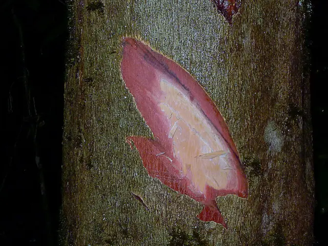 Stem cell treatments, debates, and scientific exploration