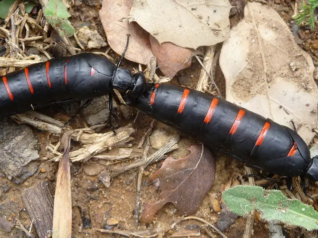 Health Consequences of Dry Air Explained - Tips for Combating Its Effects