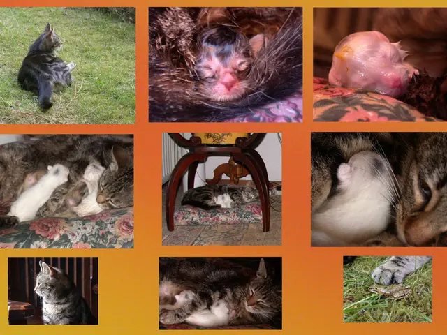 Deadline extension for animal husbandry labeling implementation