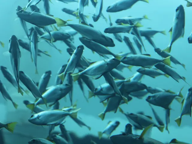 Varied Fish Delights: A Guide to Different Species, Cooking Methods, and Nutritional Information