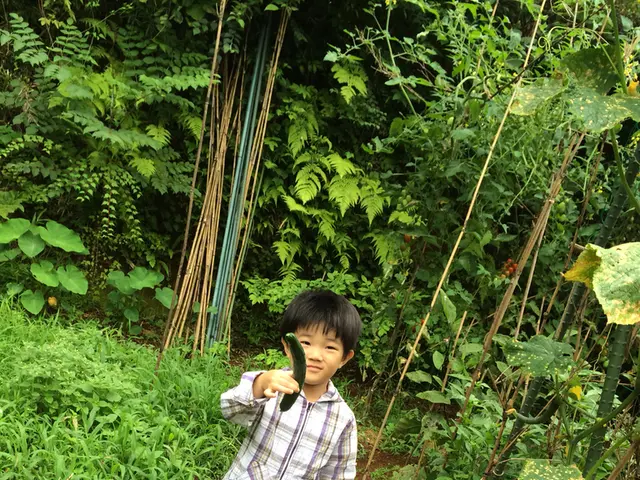 Refreshing Cucumber Drink: Discover its Advantages and Preparation Methods