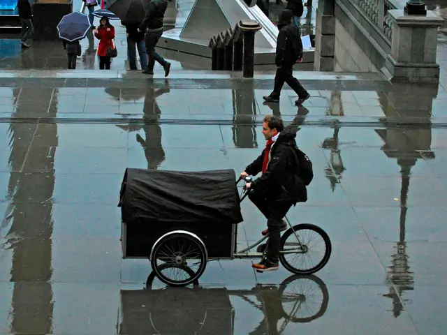 Rapid Cycling Bipolar Disorder: Root Causes, Diagnosed Individuals, and Erratic Mood Swings