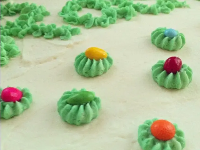 Two types of skin cancer: Basal cell and squamous cell carcinomas