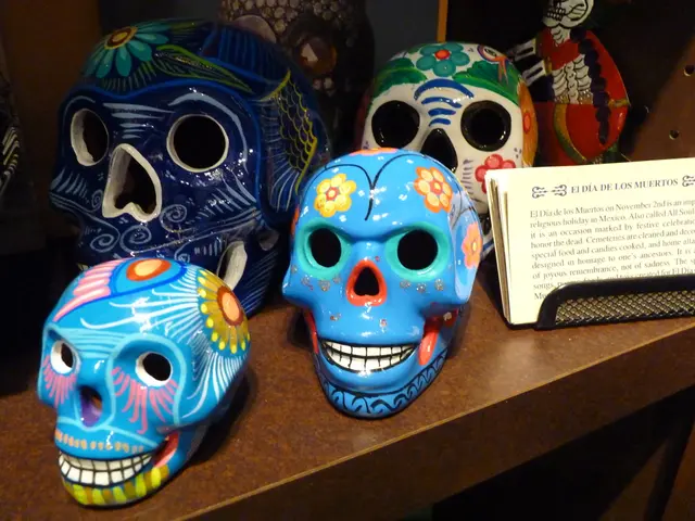 Vascular Dementia: its explanation, indicators, and remedies