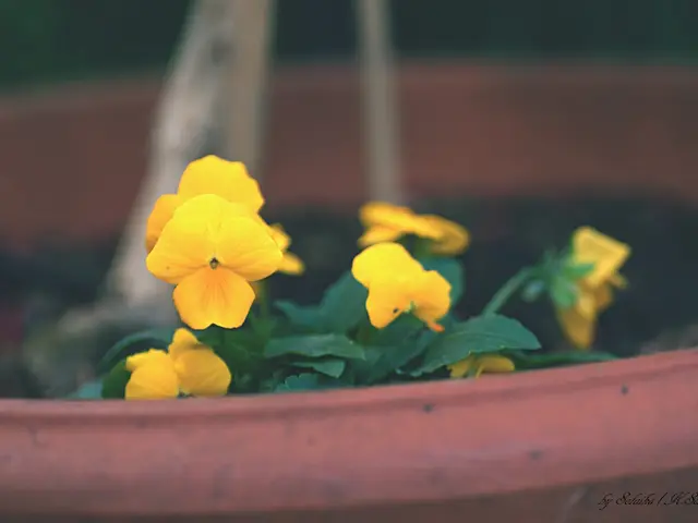 Procedure, Uses, Cost, Side Effects, and Safety of Angiogram: An In-depth Guide