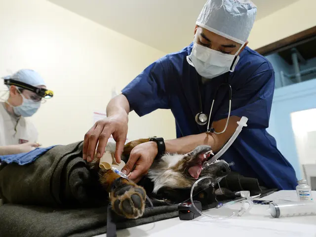 Enema Procedures: Duration and Other Key Facts