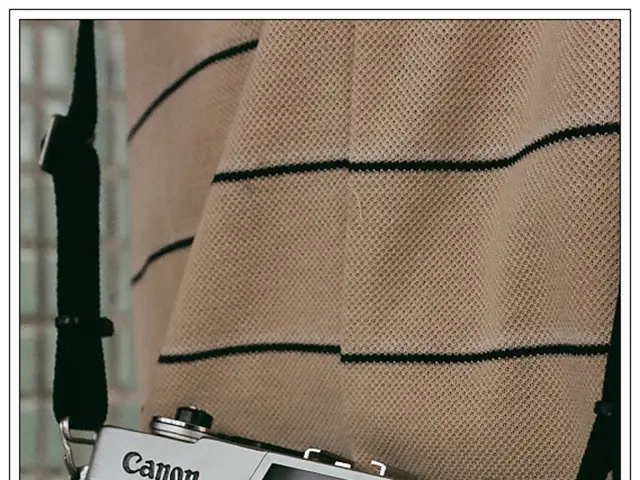 Back discomfort in the upper region and neck: Sources, remedies, and precautions