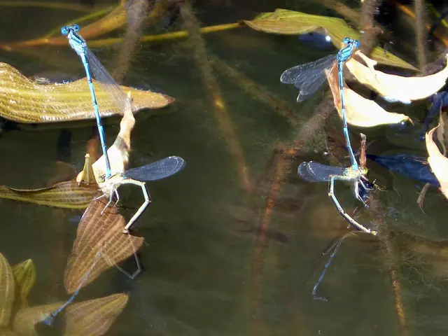 Majority of Werdersee Shut Down Because of Waterborne Illness Outbreak