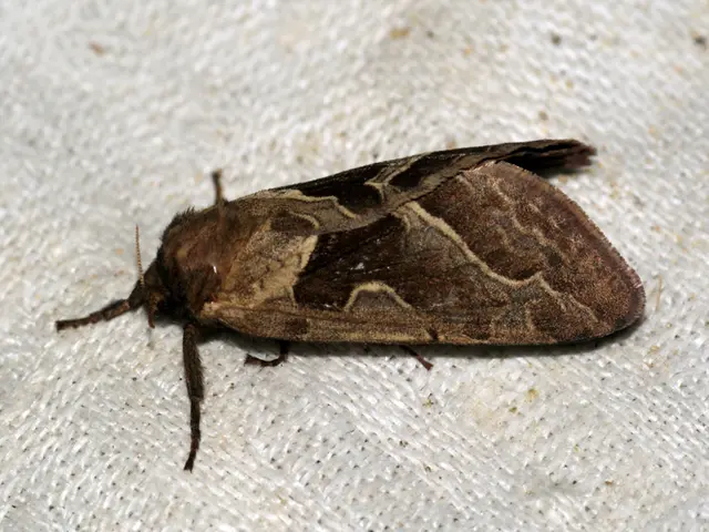 Biotech firms are intensely engaged in combating eight uncommon immunological ailments