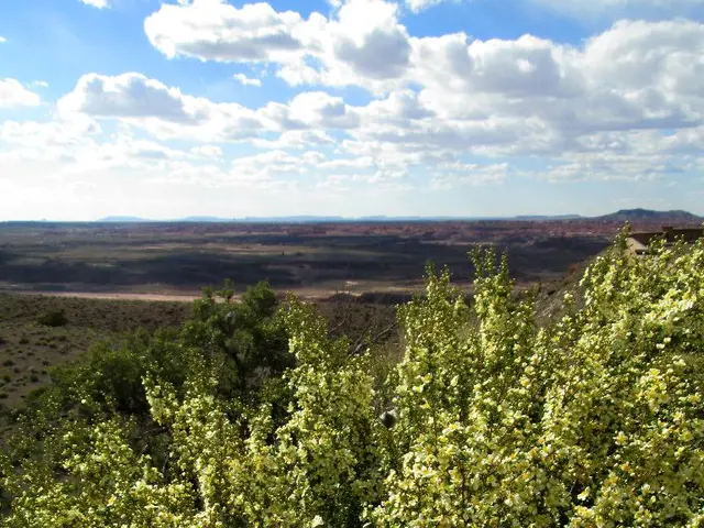 Earth's earliest life forms may have originated from dust-riding waterbears, according to a recent...