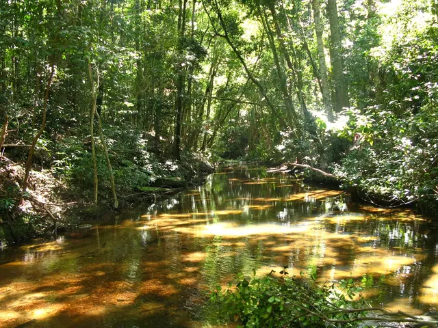 Reinvestigating the Link Between Root Canals and Cancer: Separating Truth from Rumors