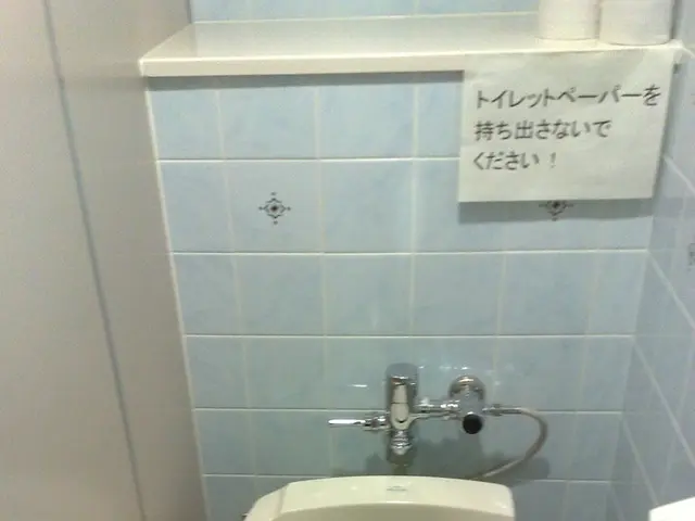 Managing Dementia and Toilet Paper Fixation: Guidance for Caretakers