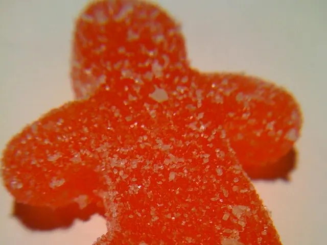 Sugar's influence on the gray matter: a glimpse into Alzheimer's affliction