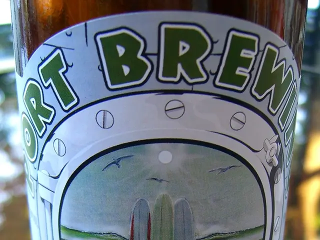 Kombucha Explained: A Look at This Fermented Tea Drink