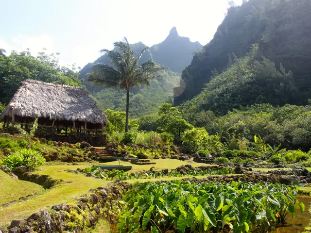 Increasing Potassium Intake when Your Body Requires More: 7 Strategies