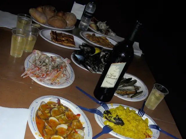 Body Organ Chart: Essential Information and Illustrated Layout