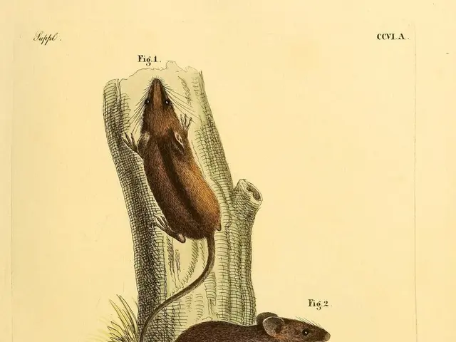 Unleashing the Fury of Rodents: An Analysis of Their Impact