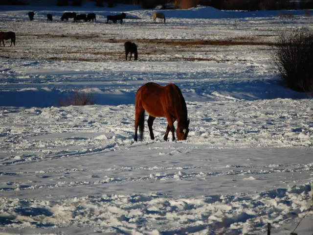 Successful examples of restoring balance in ecosystems by focusing on the regeneration of critical...