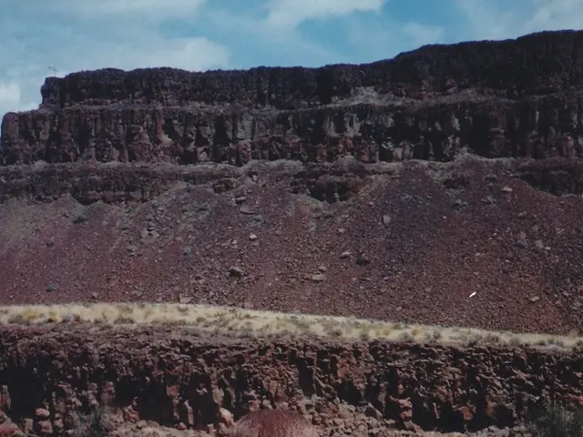 Child Leukemia: Signs, Origins, Medication, Prospects, and Additional Information