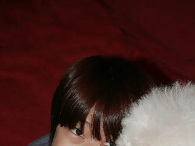 Pets Improve Mental Well-being: An Exploration