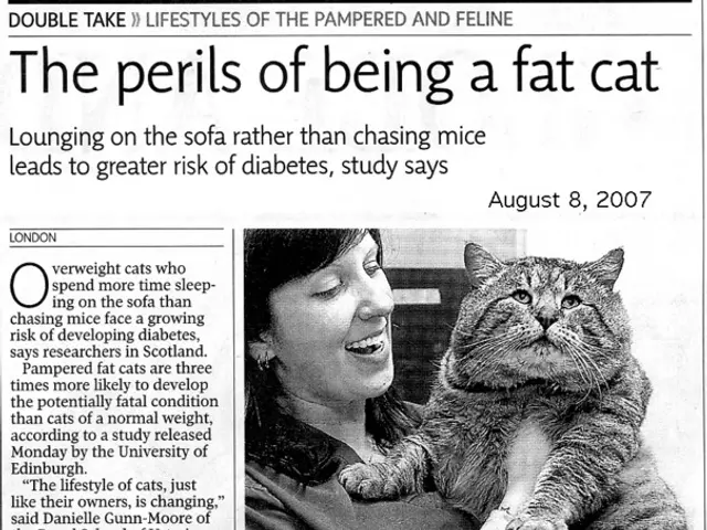 Decline in Estonian birth rate persists, with reduced number of births occurring despite financial...