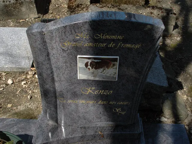 Discussing the topic of death and its implications