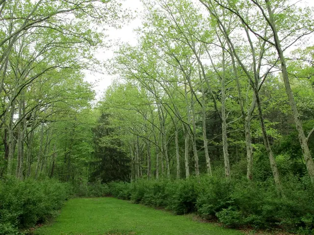 Boosting the execution of Biodiversity Net Gain for small, moderate, and redevelopment projects on...