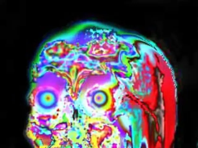 The Functioning of the Human Blockhead Unveiled